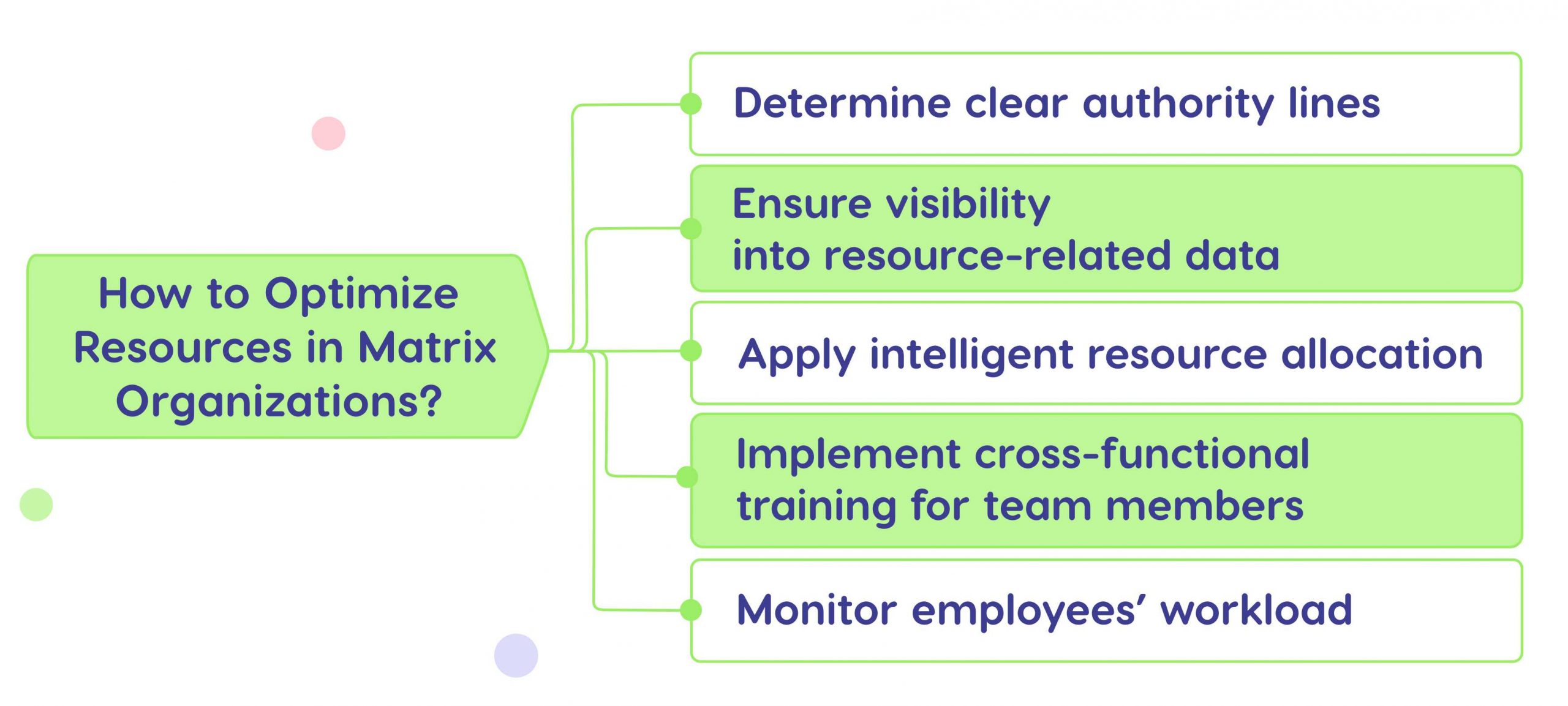 how to optimize resources in matrix organizations