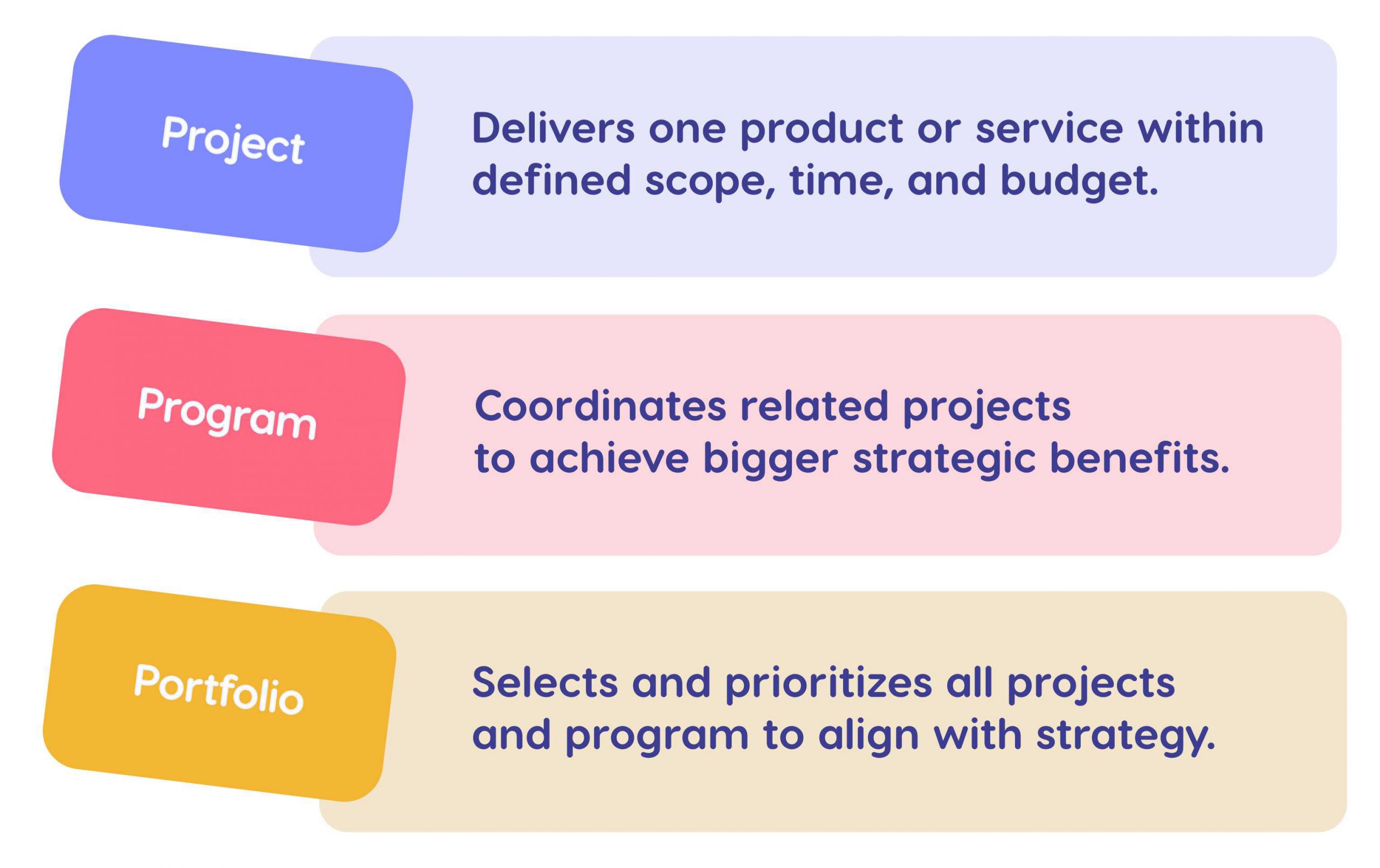 project vs program vs portfolio management