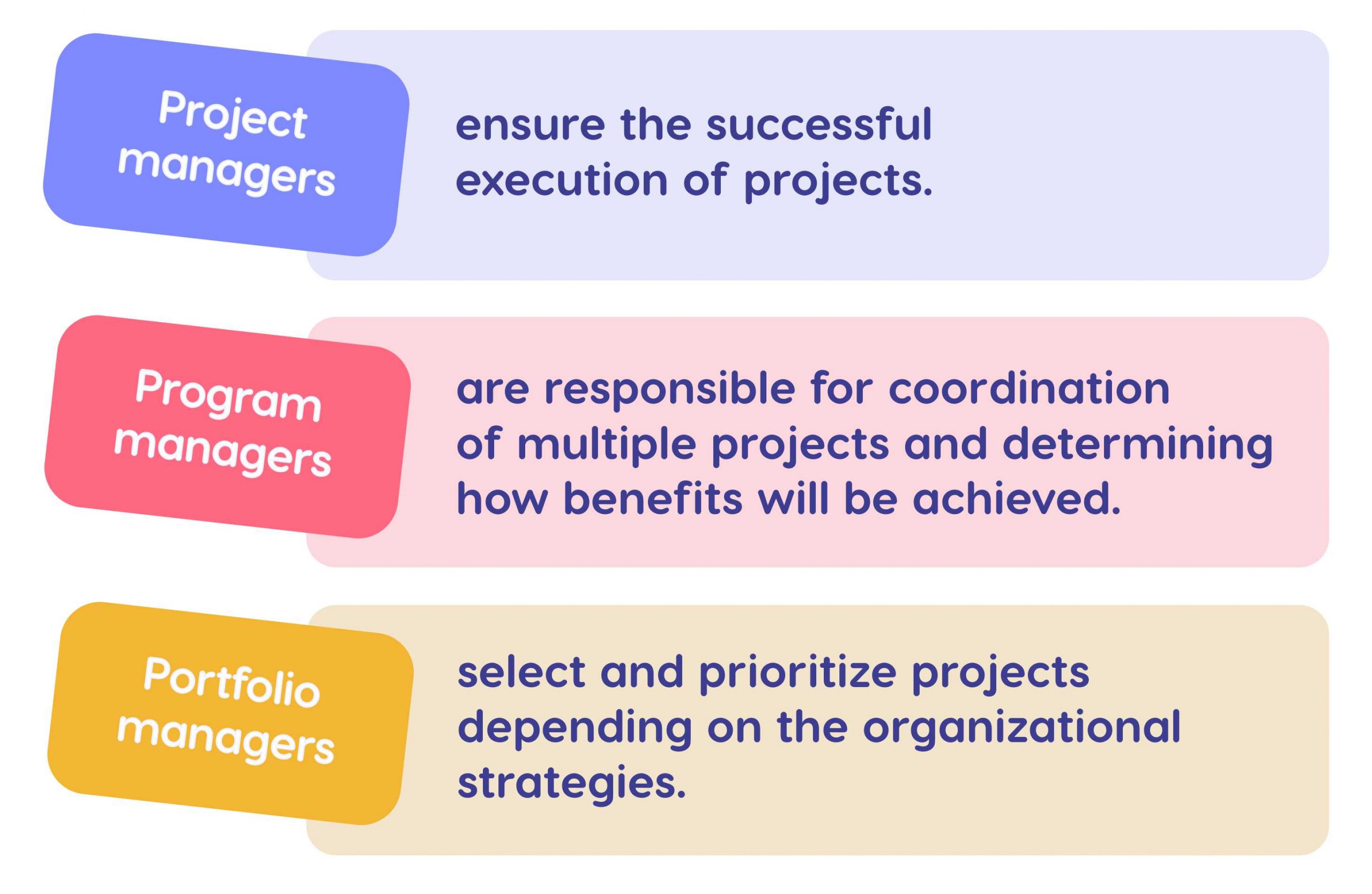 project vs program vs portfolio manager