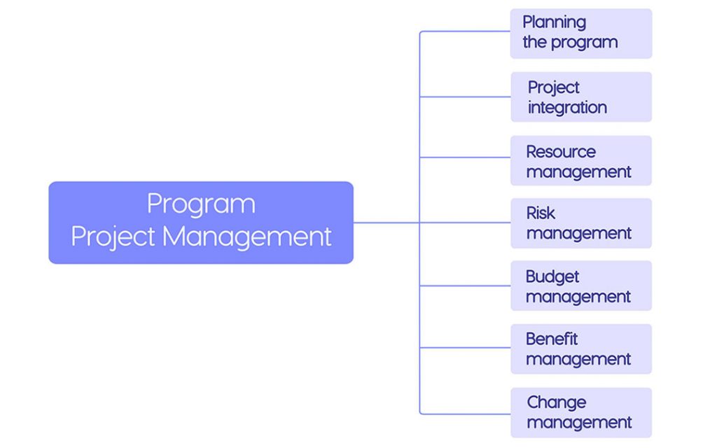 components of program management